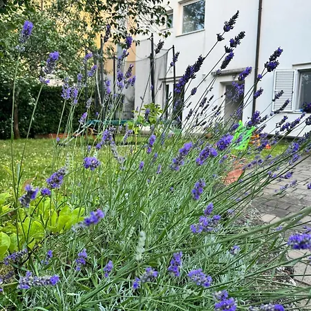 Apartman Iman Viskovo