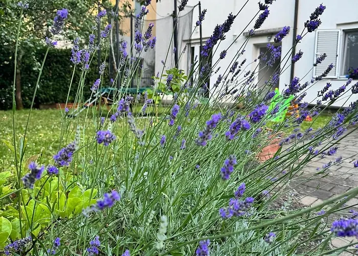 Apartament Iman Viskovo